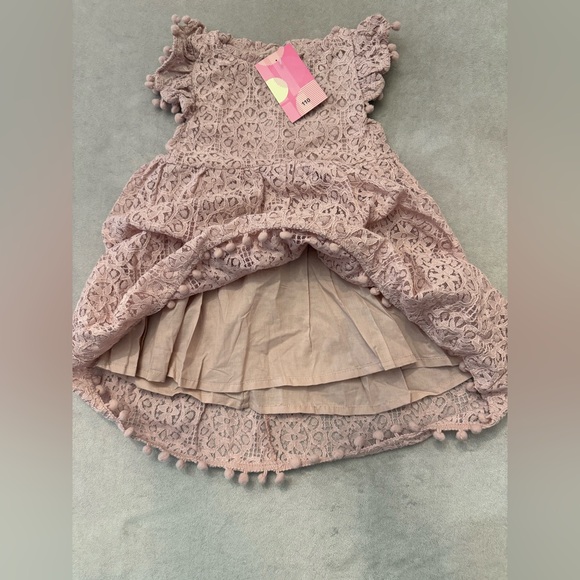 Girls Lace Dress 3T (110) Dusty Pink Pom Trim Knee Length NWT Special Occasion - Picture 6 of 6